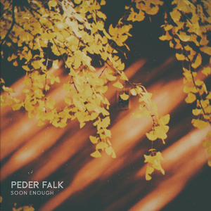 胸大老师色诱学生A片
